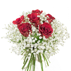 Captured in radiant clarity, this hand-tied bouquet designed by Cranford florists exudes classic beauty and sincere emotion. Six opulent crimson roses, each at the peak of bloom, anchor the composition, their deep red petals soft and velvety in texture. Nestled amid the roses, an abundant profusion of snowy white gypsophila forms a gentle, cloud-like surround, its delicate blossoms reminiscent of early evenings in Cranford's gardens. The contrast between the passionate reds of the roses and the ethereal whites of the baby's breath creates a striking yet balanced harmony-one that invites both admiration and a sense of quiet joy. Below, the fresh, clean stems are gathered in a neat bundle, promising the vibrancy and longevity of a truly fresh arrangement. The pristine backdrop frames every element, allowing the bouquet's colors and intricate details to take center stage. Carefully crafted for thoughtful gestures-anniversaries, birthdays, or anytime love should be celebrated-this arrangement captures the spirit of Cranford, bringing beauty and heartfelt sentiment to every delivery in the area.